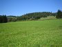 IMG_6529